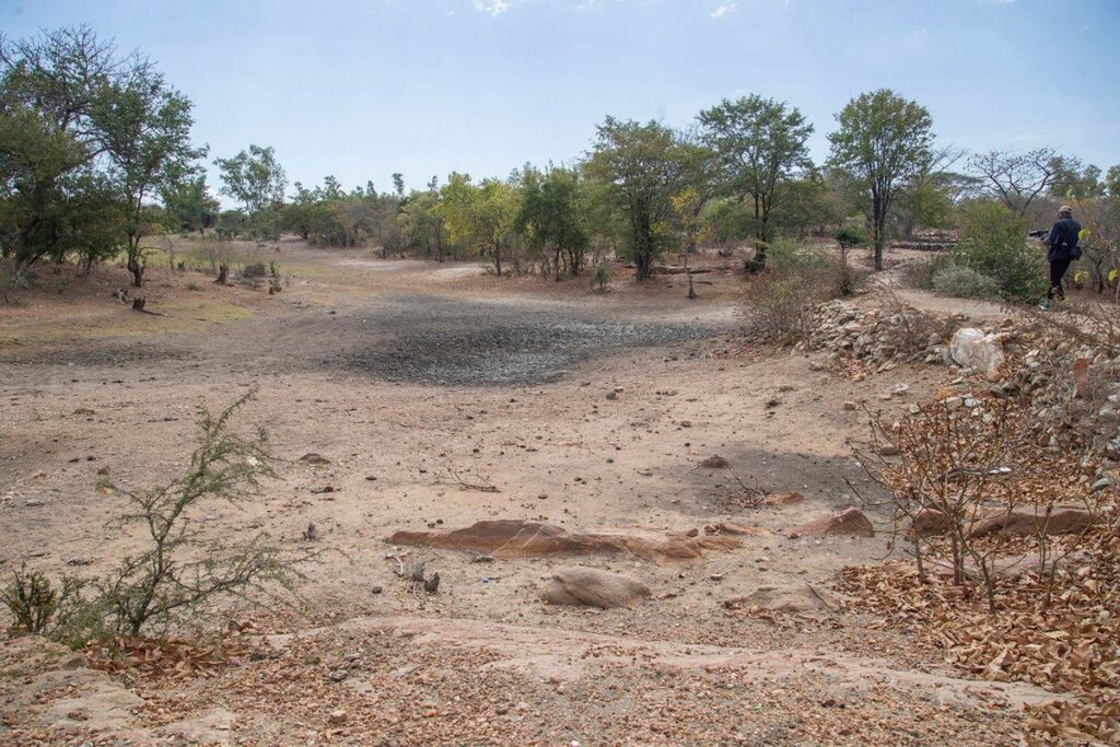 WMO Peringatkan Risiko Cuaca Ekstrem Akibat Fenomena El Nino