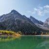 Mengenal Bipenggou Lembah Tersembunyi di Sichuan yang Menawan