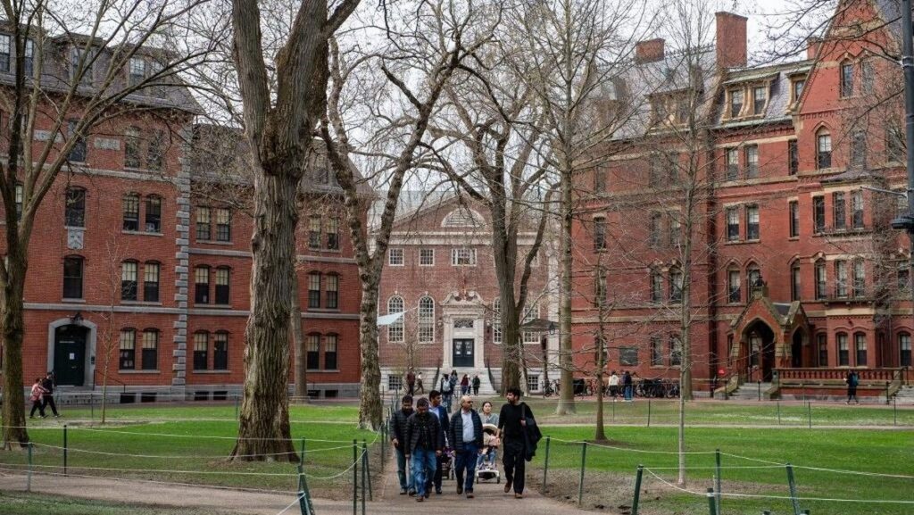Harvard University Buka Pendaftaran Harvard Radcliffe Fellowship Program 2027