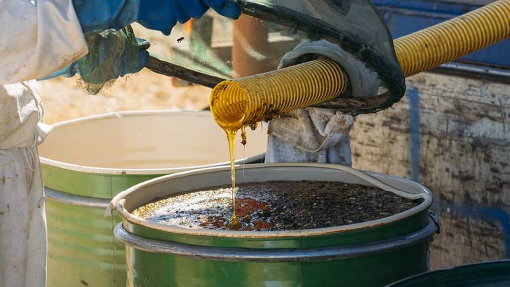 Petani Sawit Minta Pemerintah Tunda Mandatori Biodiesel B50