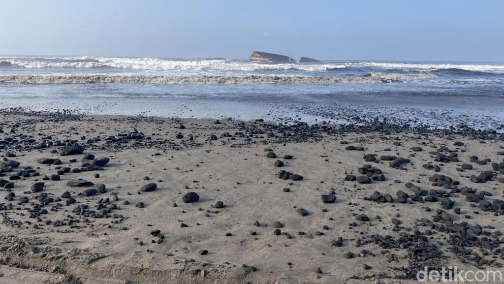 Tumpahan Batu Bara di Pantai Batuhiu Mengancam Konservasi Penyu