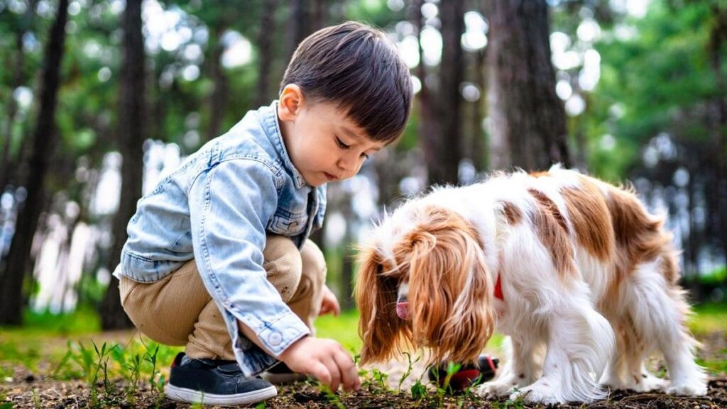 Studi Ungkap Anjing Punya Perilaku Menolong Mirip Balita
