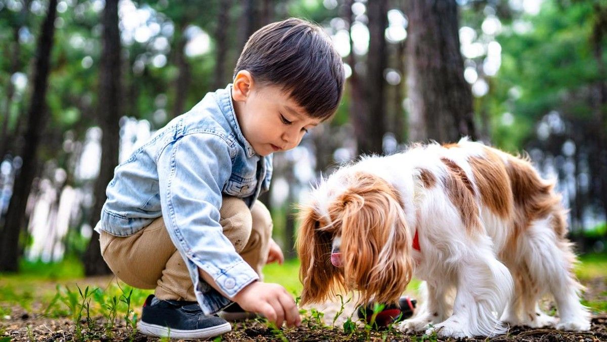 Studi Ungkap Anjing Punya Perilaku Menolong Mirip Balita