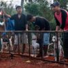 Polisi Tetapkan Pemilik Anjing Pemburu Babi Tersangka Kasus Kematian Bocah Jasinga