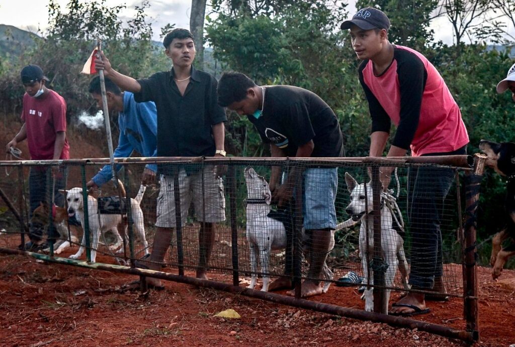 Polisi Tetapkan Pemilik Anjing Pemburu Babi Tersangka Kasus Kematian Bocah Jasinga