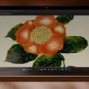 Microsoft Luncurkan Surface Pro 13 Inci dan Surface Laptop Terbaru