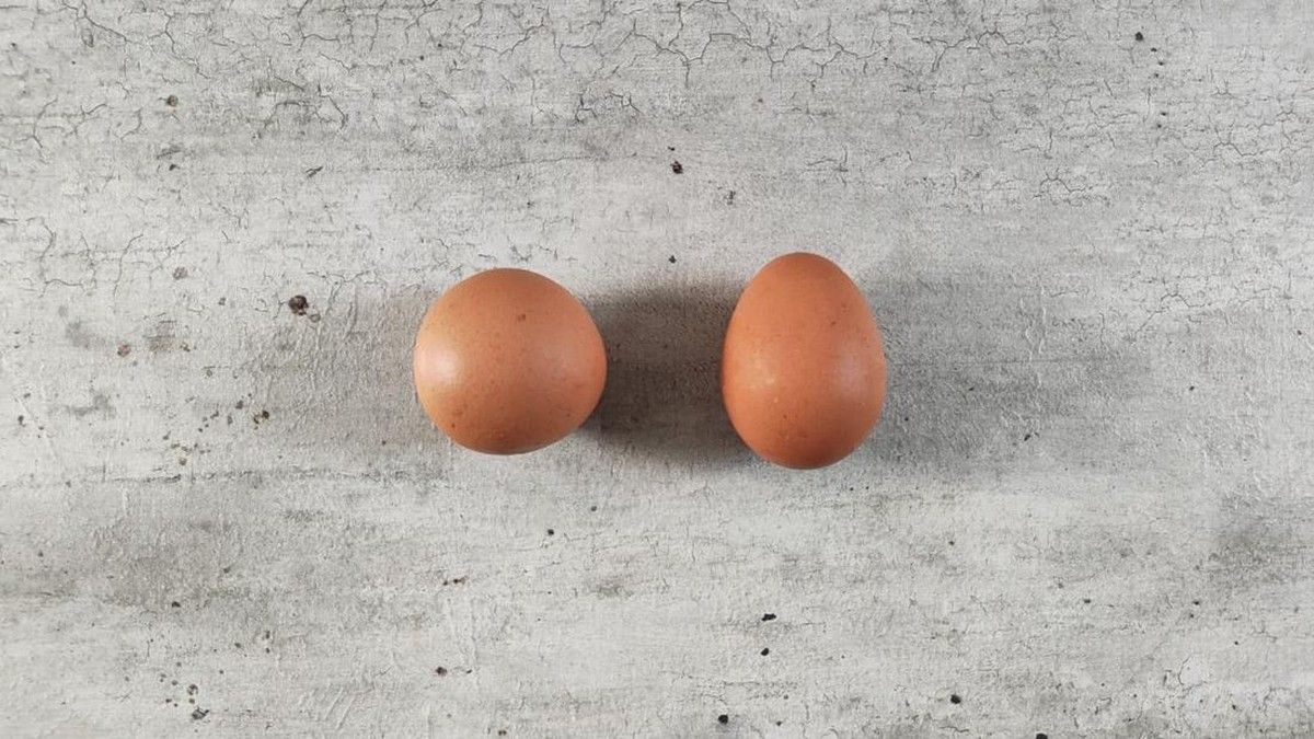 Dua Keluarga di Singapura Temukan Telur Ayam Bulat Sempurna