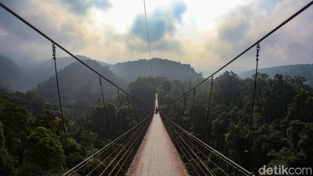 Jembatan Gantung Situ Gunung Sukabumi Tawarkan Sensasi Berjalan di Atas Hutan