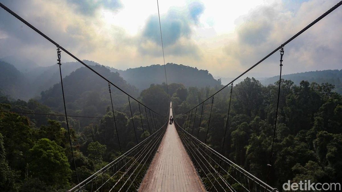 Jembatan Gantung Situ Gunung Sukabumi Tawarkan Sensasi Berjalan di Atas Hutan