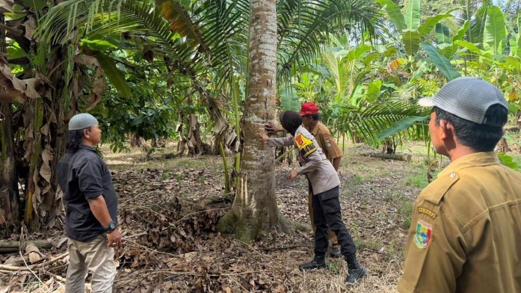Beruang Resahkan Warga Pekon Kali Sari Tanggamus