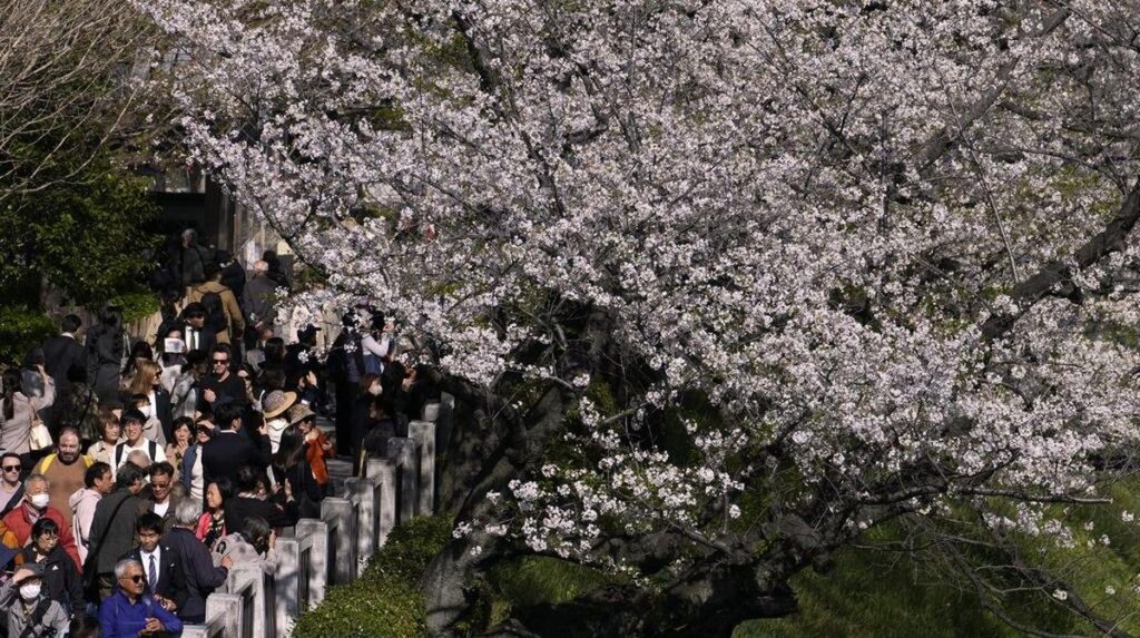 Jepang Sahkan Revisi UU Imigrasi Demi Naikkan Biaya Visa