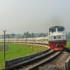 KAI Tambah KA Pandalungan 2 Rute Gambir-Jember PP Mulai Juni 2026