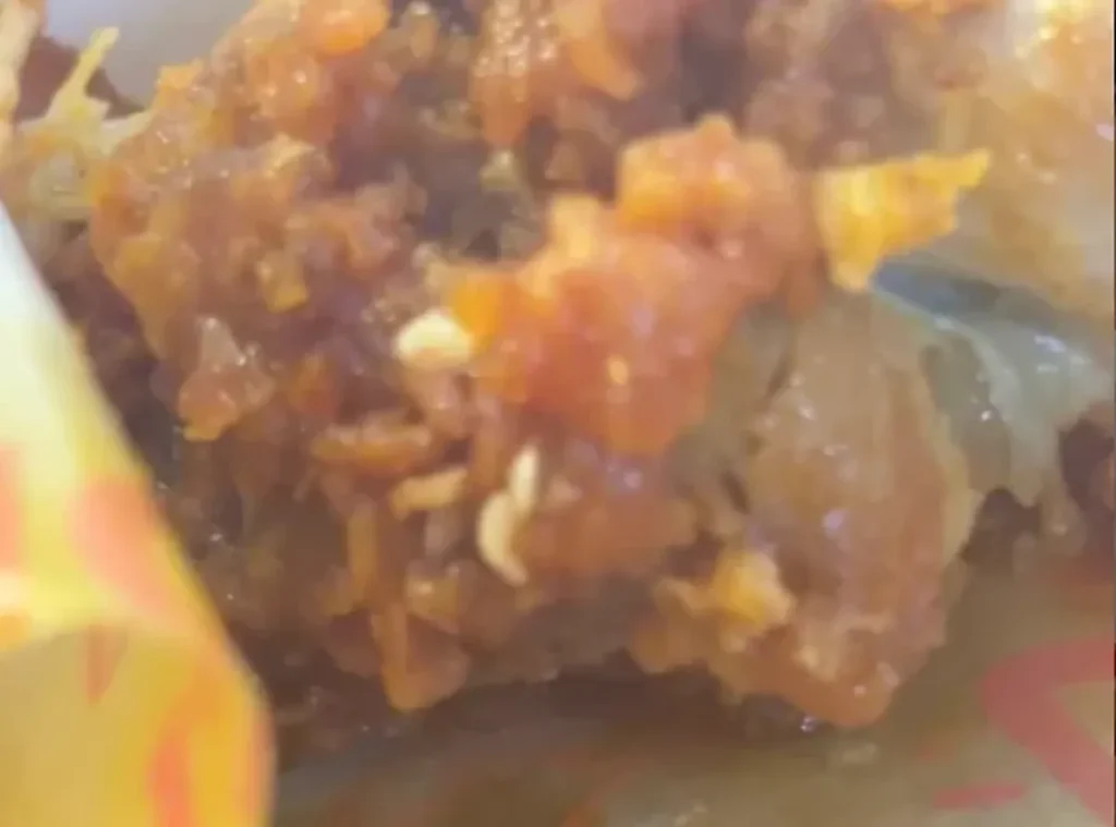 Ayam Goreng Bandara Malaysia Diduga Berbelatung Netizen Desak Lapor MOH