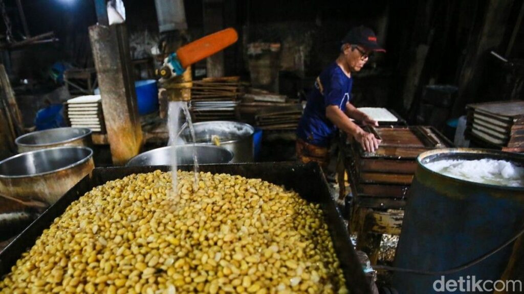 Pemerintah Subsidi Kedelai Impor Imbas Lonjakan Dolar Amerika Serikat