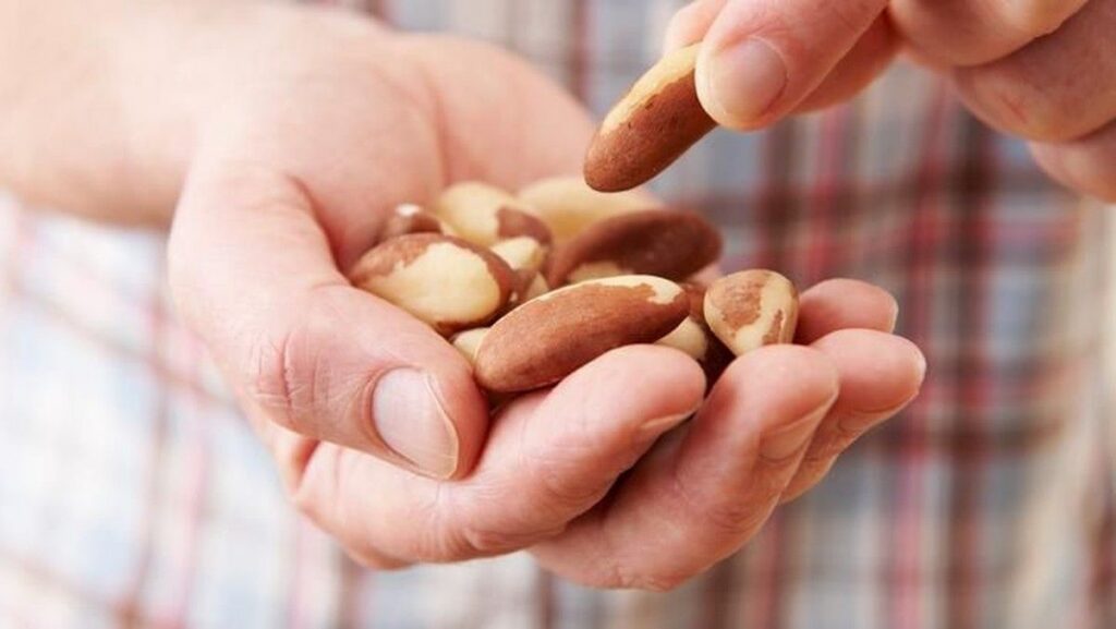 5 Fakta Perbandingan Nutrisi Almond vs Kacang Tanah