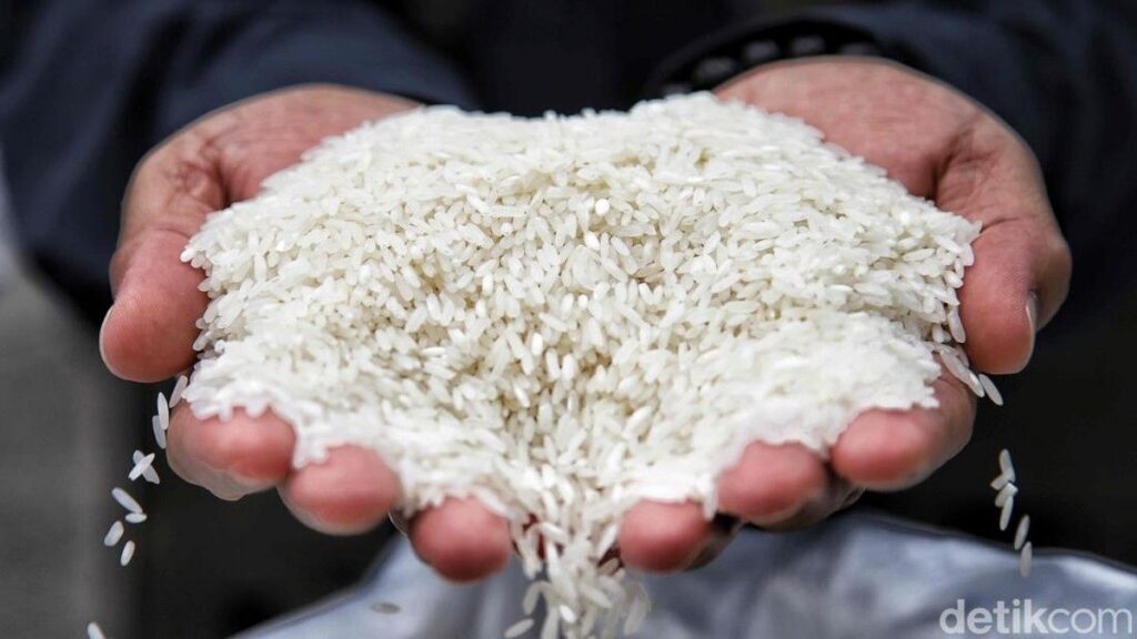 BPS Proyeksikan Produksi Beras Nasional Turun Jadi 21,95 Juta Ton