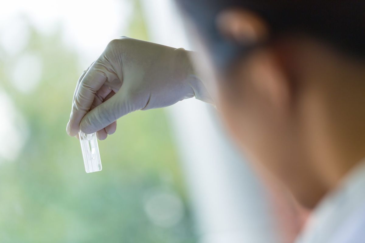 Dokter Gizi Ungkap Peran DNA dalam Menentukan Metode Diet