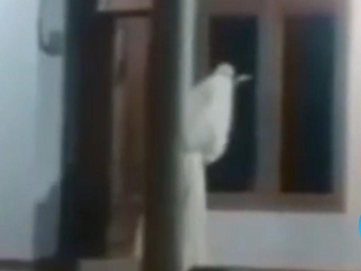 Camat Kamal Pastikan Video Pocong Bercelurit di Bangkalan Hoaks