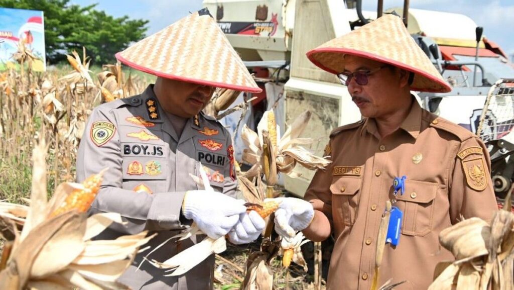 Polda Riau Panen Jagung Dukung Swasembada Pangan