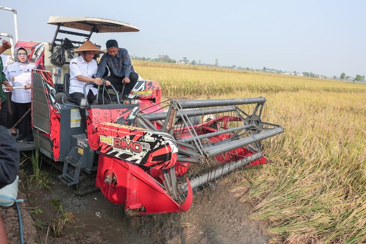 Pemprov Jateng Genjot Produksi Padi Targetkan 10,5 Juta Ton