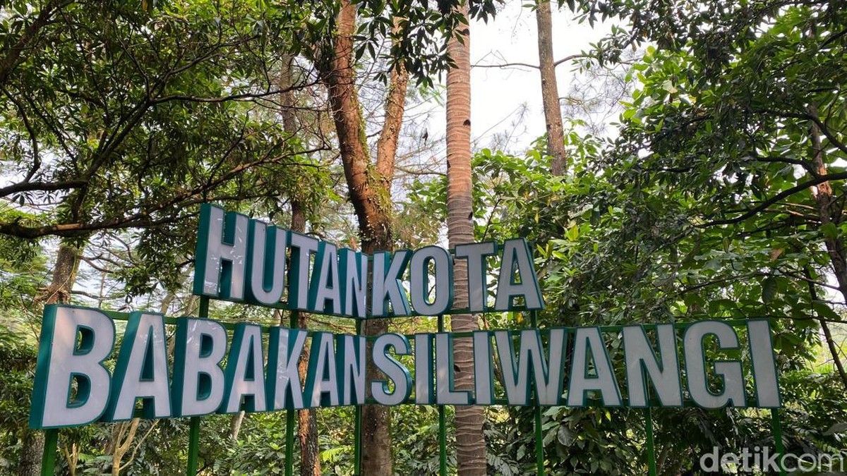 Hutan Kota Babakan Siliwangi Bandung Tawarkan Wisata Alam Murah