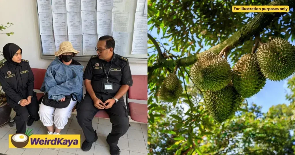 Wanita Malaysia Didenda Rp356 Juta Akibat Berkebun Durian Tanpa Izin