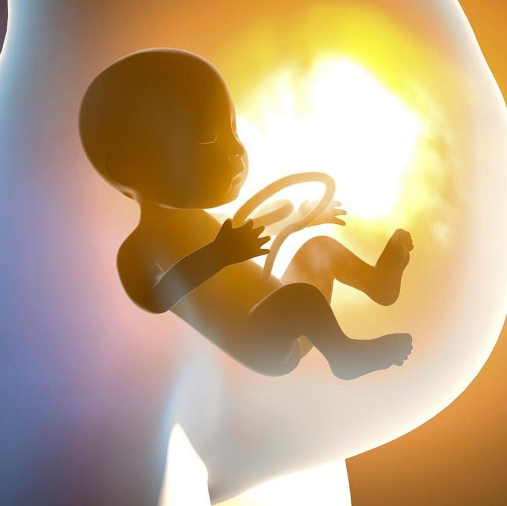 Mengenal Vagitus Uterinus Fenomena Janin Menangis dalam Kandungan