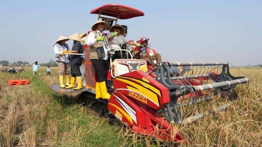 BPK RI dan BULOG Tinjau Panen Raya di Karawang