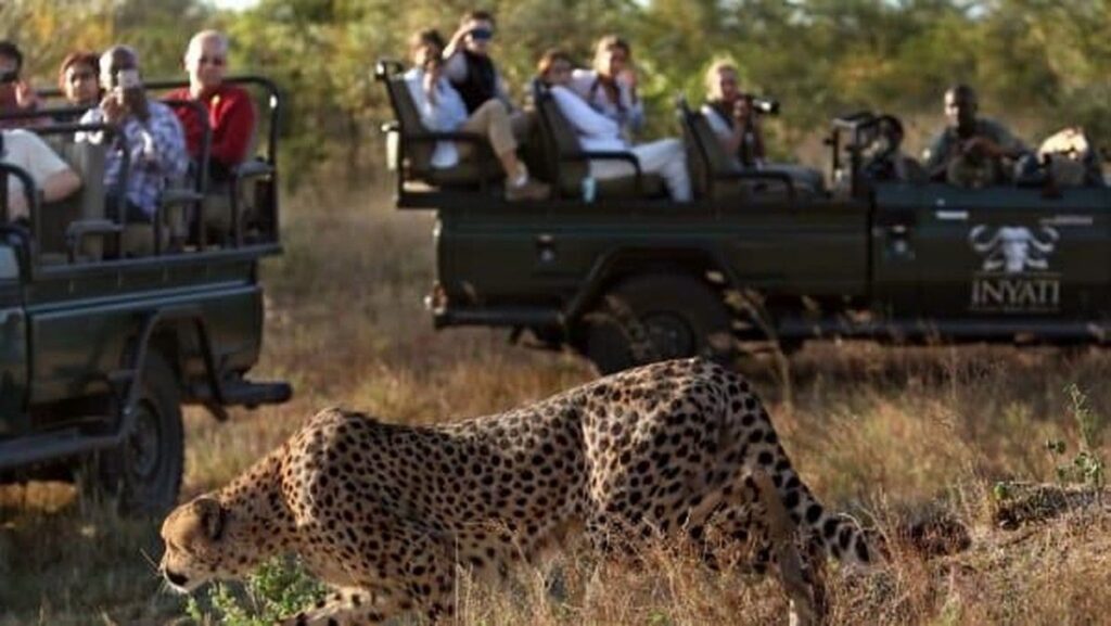 Polisi Selidiki Pembunuhan Dua Turis di Taman Nasional Kruger