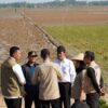 Pemerintah Pulihkan Lahan Pertanian di Tiga Provinsi Sumatera