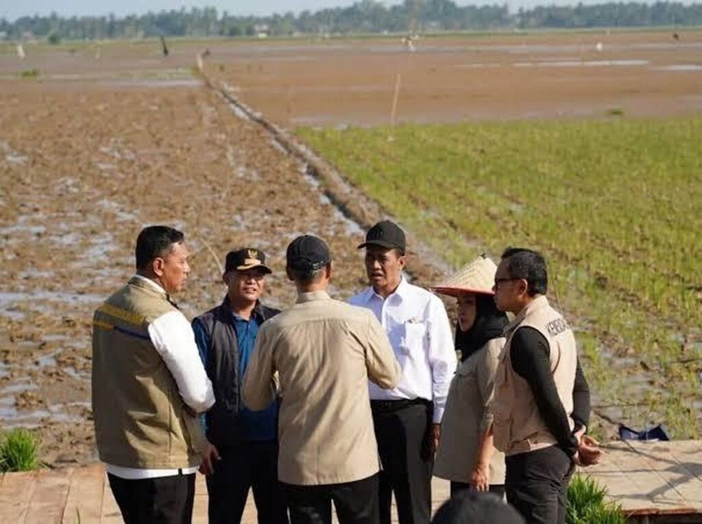Pemerintah Pulihkan Lahan Pertanian di Tiga Provinsi Sumatera