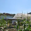 UGM Kembangkan Sistem Agrovoltaic Hybrid di Sleman Guna Dorong Smart Farming