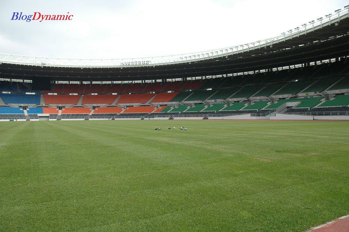Hungaria Memperpanjang Kontrak Marco Rossi Menjelang Laga Kontra Finlandia