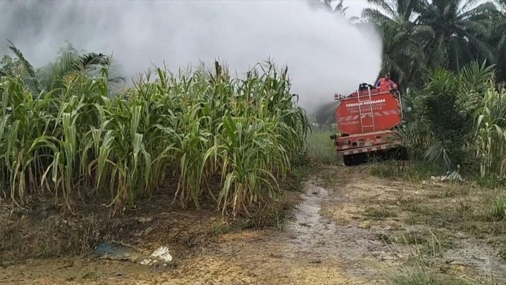 Polsek Pangkalan Kuras Siram Lahan Jagung Antisipasi Gagal Panen