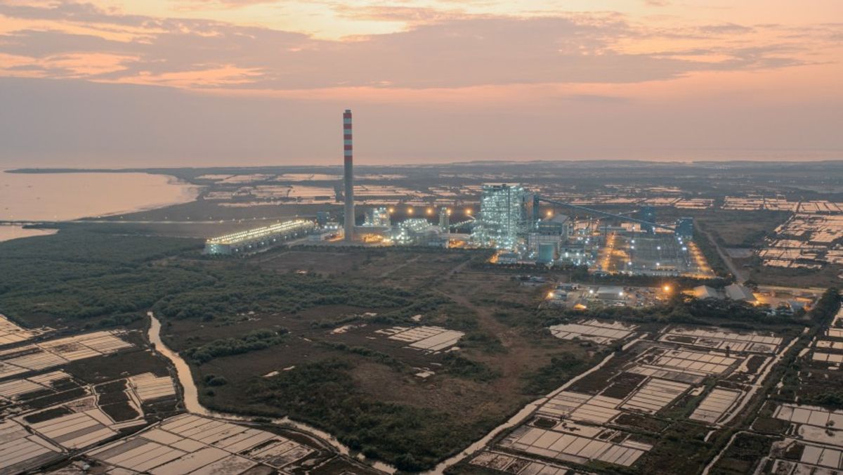 Pakar menilai kebijakan DMO rugikan penambang batu bara dan PLN