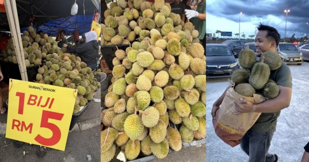 Harga Durian di Malaysia Anjlok Akibat Pasokan Melimpah