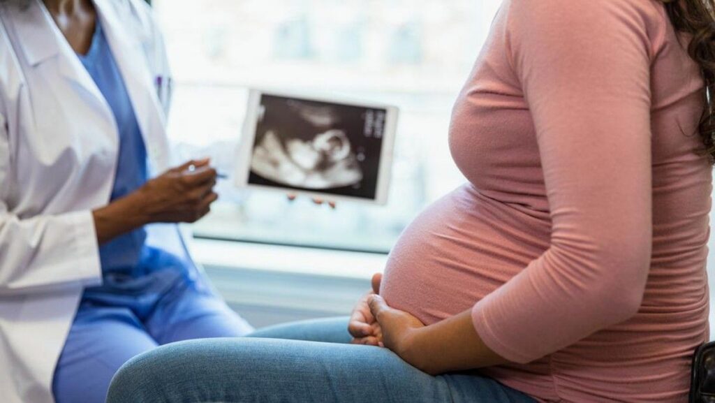 Mengenal Bentuk Ari-Ari Bayi Beserta Fungsi dan Letaknya dalam Rahim
