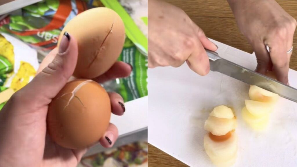 Tren TikTok Bekukan Telur Utuh Picu Risiko Kontaminasi Bakteri Salmonella