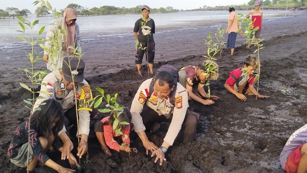 Polsek Rangsang Tanam Mangrove di Pantai Gelombang Cinta Meranti