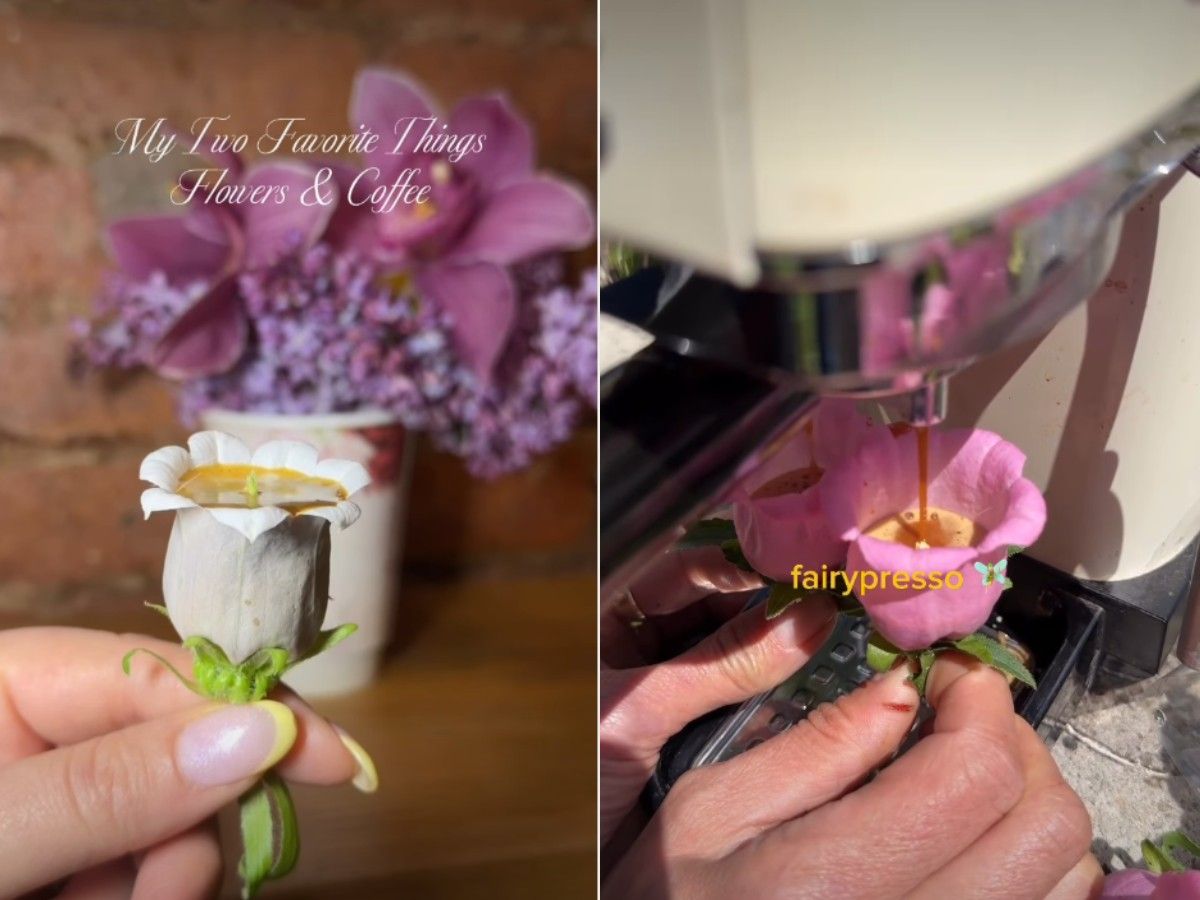 Mengenal Fairypresso Tren Minum Kopi Estetik dari Kelopak Bunga Segar