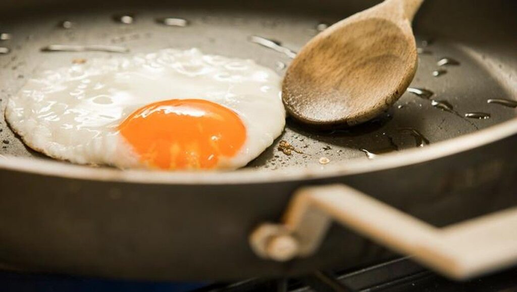 Warna Kuning Telur Bukan Penentu Utama Kandungan Omega-3