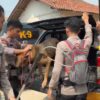 Polisi Buru Delapan Anjing Pemburu Babi di Jasinga Bogor