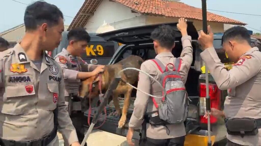 Polisi Buru Delapan Anjing Pemburu Babi di Jasinga Bogor