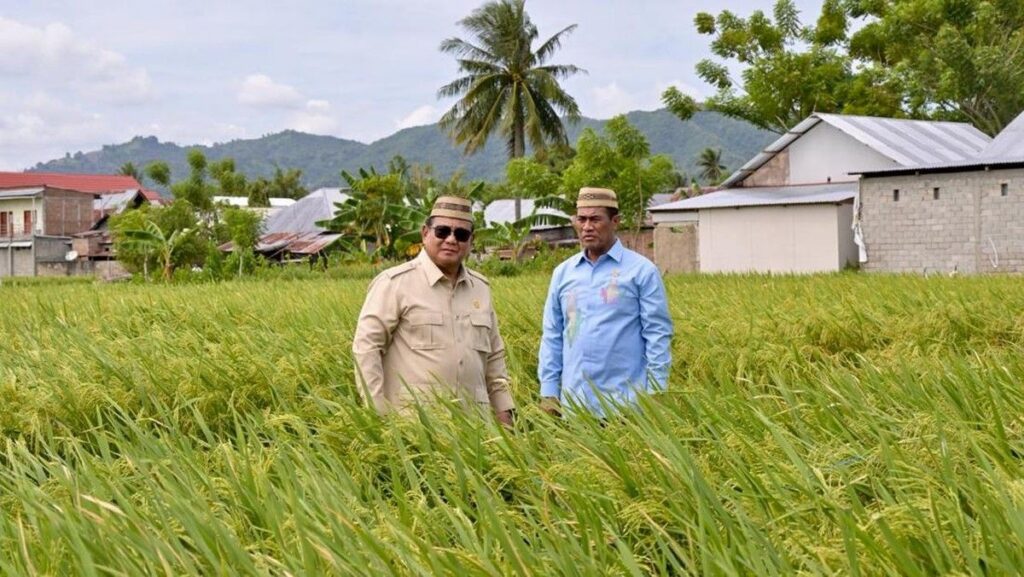 Presiden Prabowo Subianto Dorong Penerapan Teknologi Padi Modern