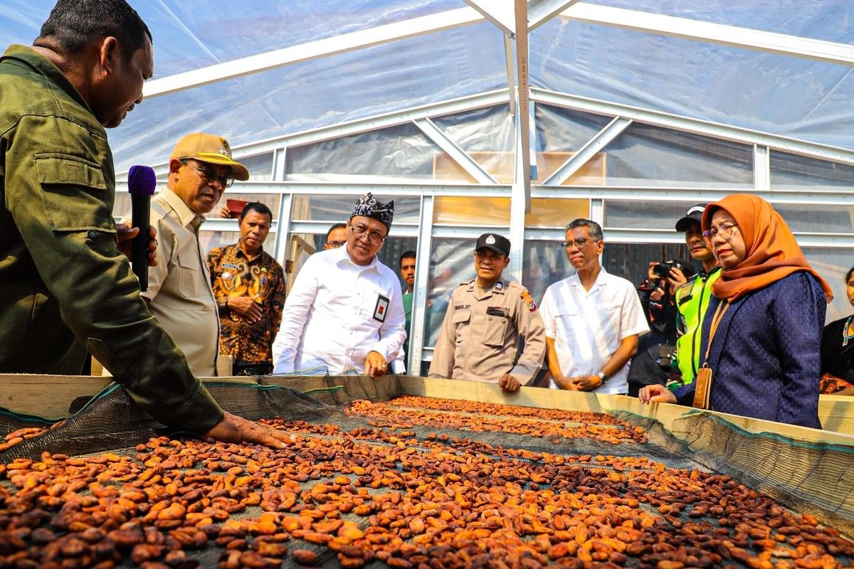 Kemensos Salurkan Bantuan Rp826 Juta bagi Petani Kakao di Ende