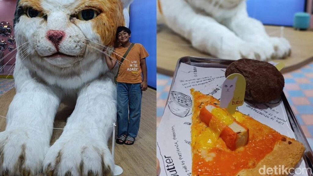 Review Kafe Blue Butter Palagan: Sensasi Kuliner dan Kucing Raksasa