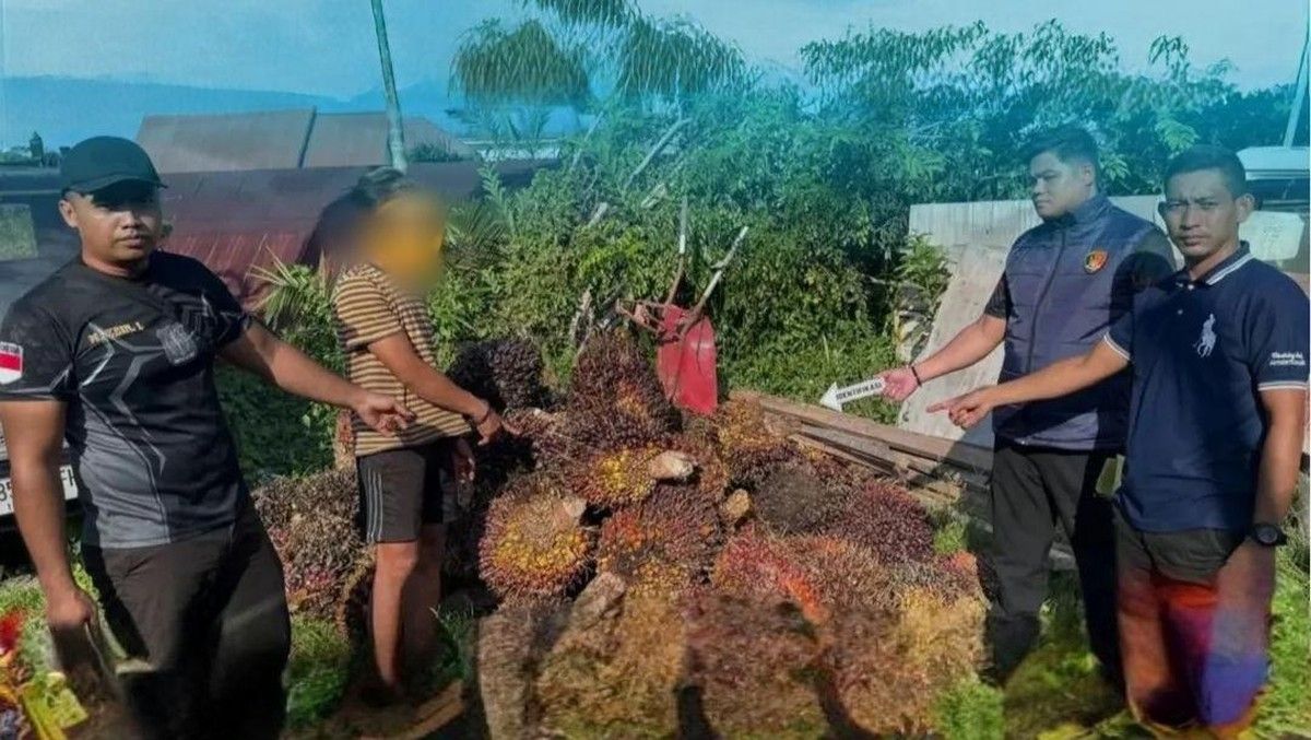 Polisi Tangkap Pencuri Sawit yang Tertidur di Perkebunan Kotawaringin Timur