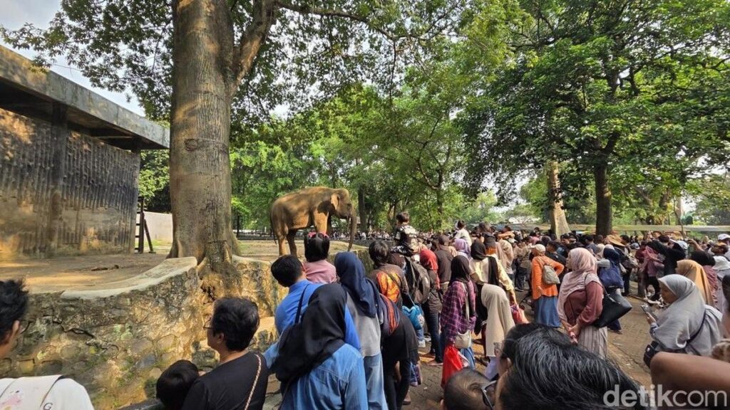 Taman Margasatwa Ragunan Catat Kenaikan Pengunjung Dua Kali Lipat