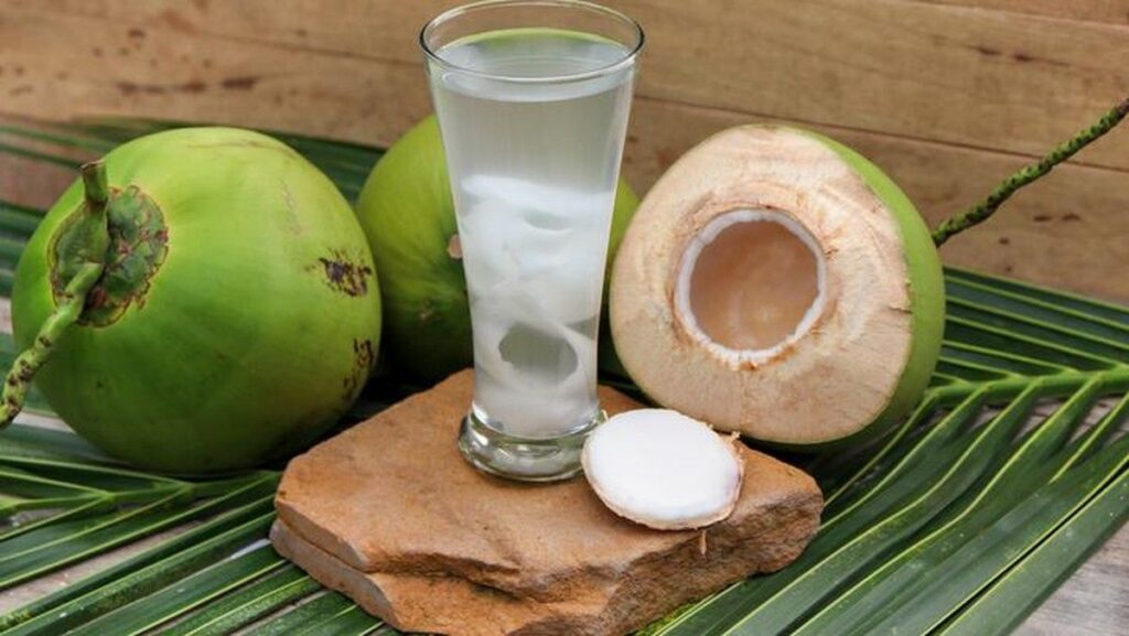 Minum Air Kelapa Rutin 15 Hari Jaga Keseimbangan Cairan Tubuh