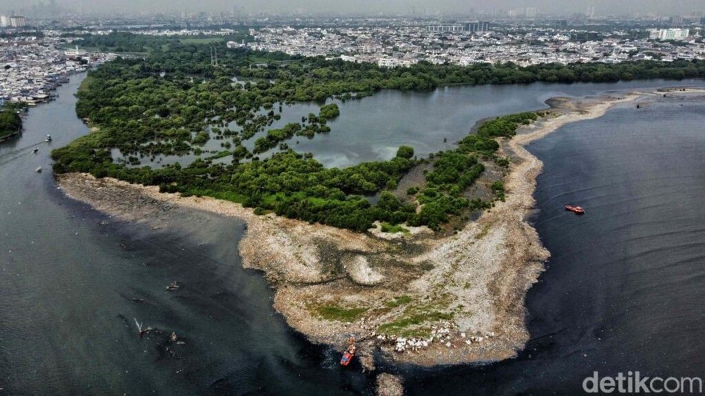 Pemprov DKI Bersihkan Pulau Sampah Muara Angke
